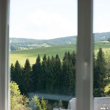Oberwiesenthal Apartments Appartement