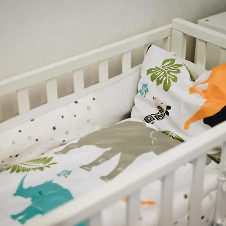 Oberwiesenthal Apartments Oberwiesenthal