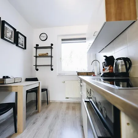 Oberwiesenthal Apartments Апартаменты Курорт Обервизенталь