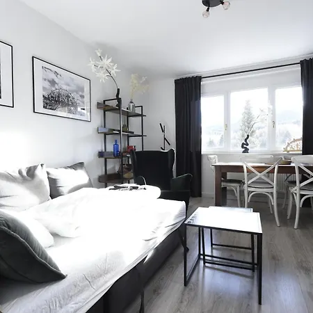 Oberwiesenthal Apartments Апартаменты *