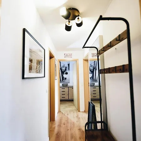 Oberwiesenthal Apartments Appartement