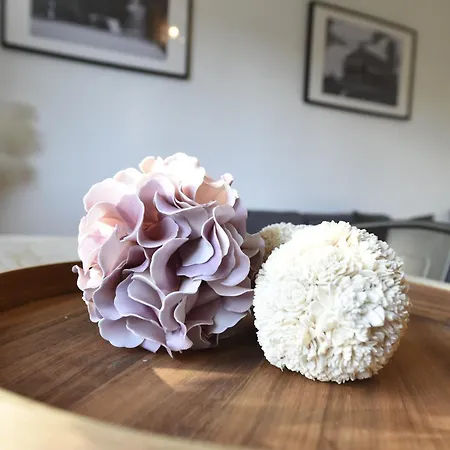 Oberwiesenthal Apartments