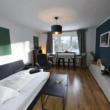 Oberwiesenthal Apartments Appartement