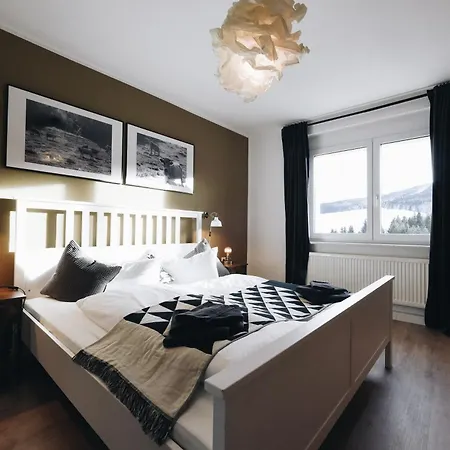 Oberwiesenthal Apartments *