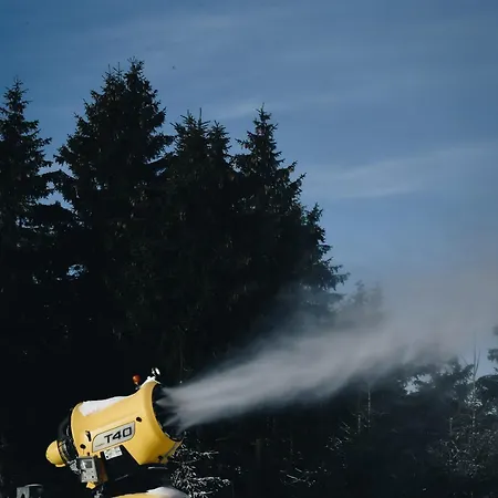 Oberwiesenthal Apartments Appartement *