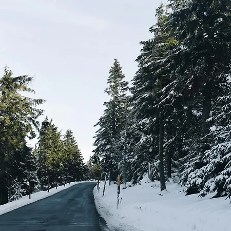 Appartement Oberwiesenthal Apartments *