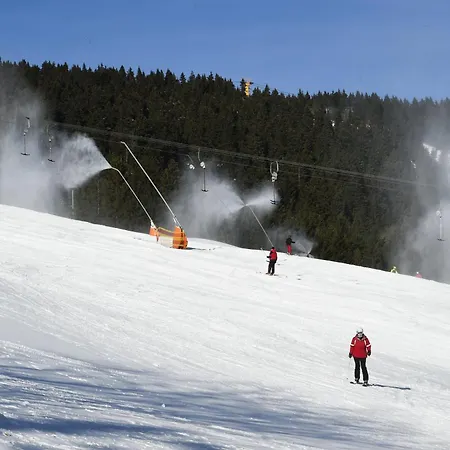 Oberwiesenthal Apartments Appartement Oberwiesenthal