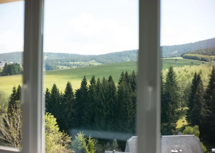 Oberwiesenthal Apartments Appartamento