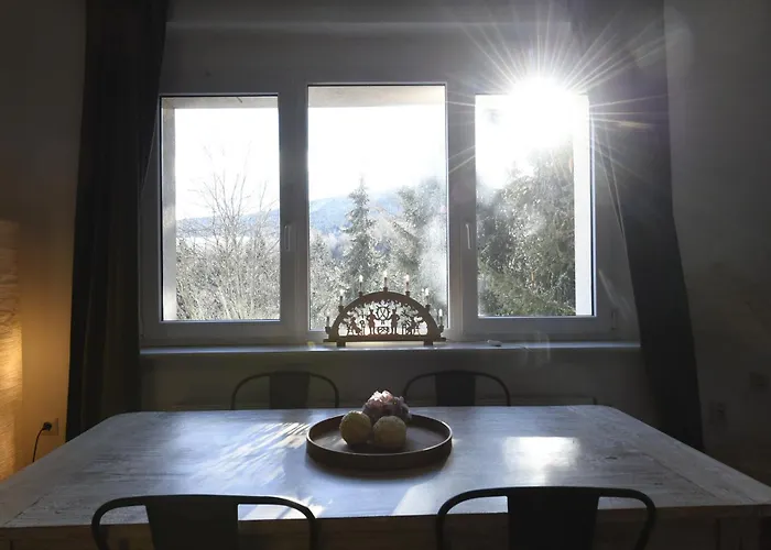 Oberwiesenthal Apartments Apartment *