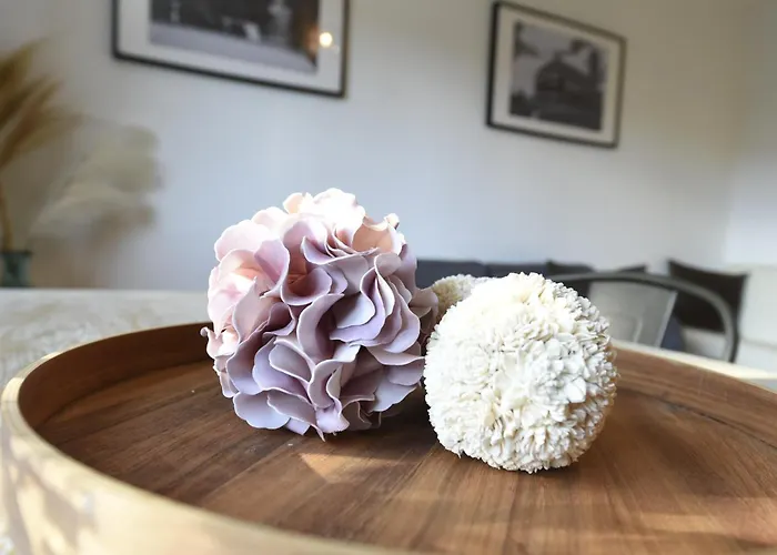 Oberwiesenthal Apartments