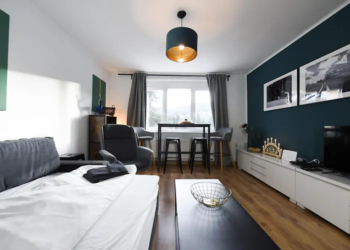 Oberwiesenthal Apartments Appartamento Oberwiesenthal