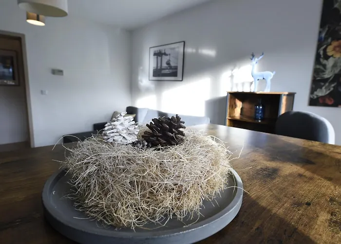 Oberwiesenthal Apartments * Oberwiesenthal