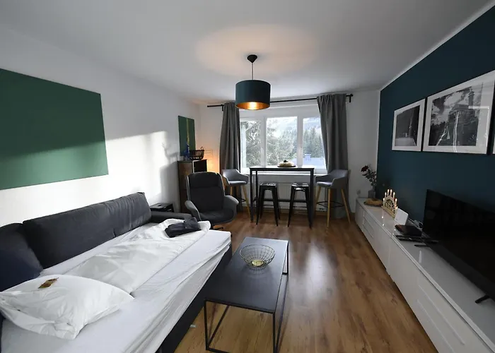 Oberwiesenthal Apartments Appartamento