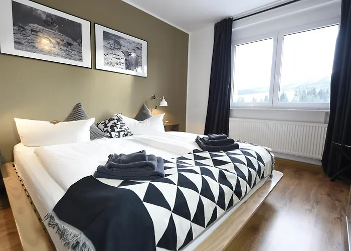 Oberwiesenthal Apartments Appartamento *