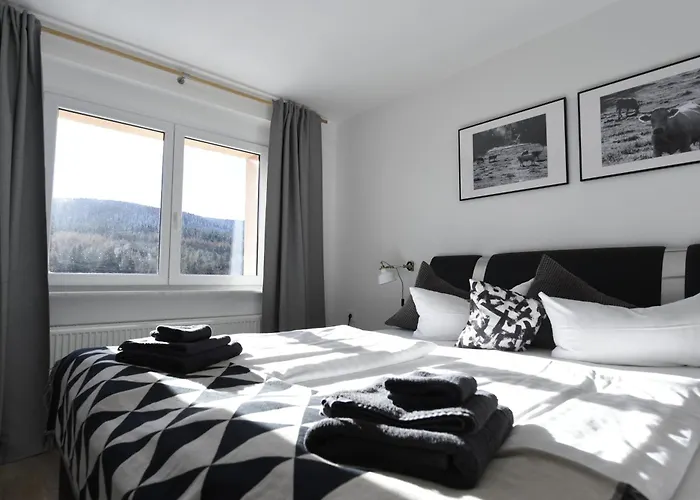 Oberwiesenthal Apartments