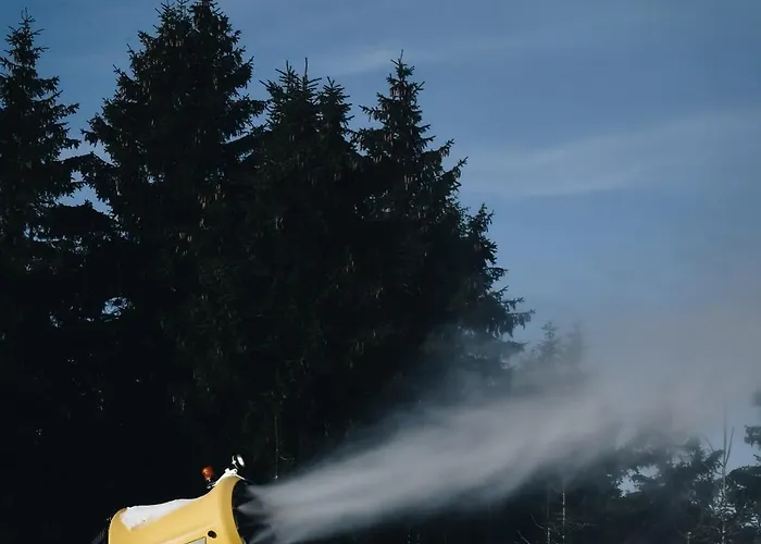 Oberwiesenthal Apartments Apartment *