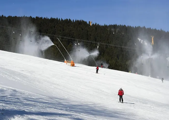 Oberwiesenthal Apartments Apartamento Oberwiesenthal